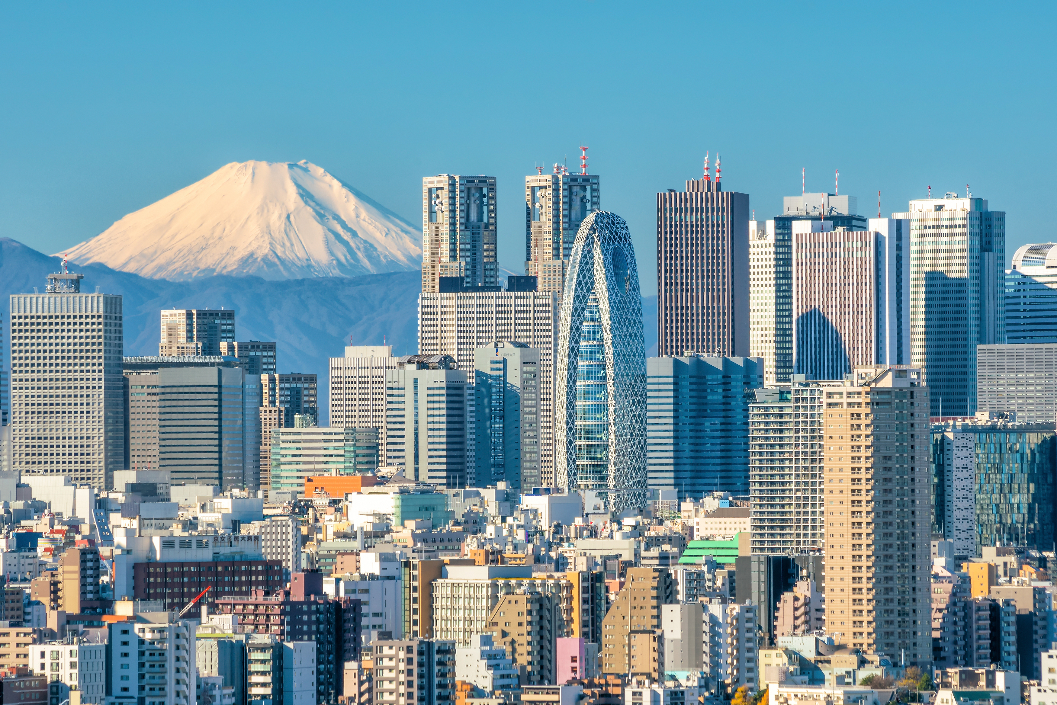 2024_04_Stock_Shutterstock_ACE_Mount Fuji and Tokyo skyline_552100717.jpg